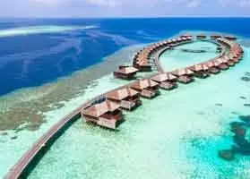 شرتون مالدیوز فول مون