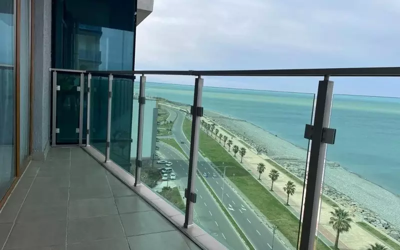 زیتون باتومی