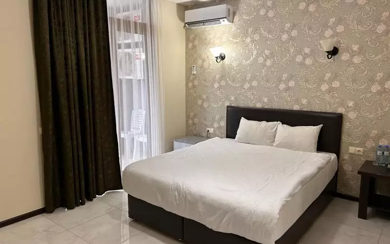 زیتون باتومی