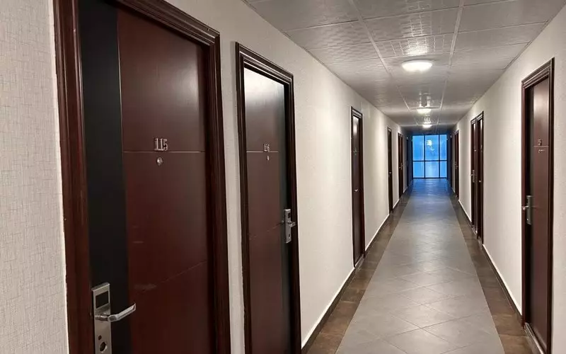 زیتون باتومی