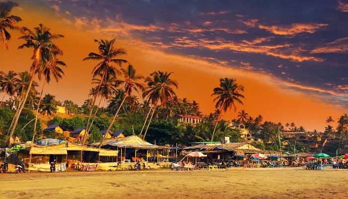 تصویری از یک ساحل در  غروب 