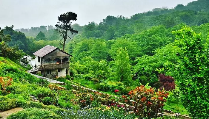 تصویری از باغ گیاهشناسی
