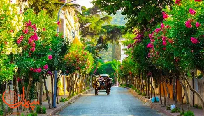 کالسکه سواری در جزیره بیوک آدا استانبول