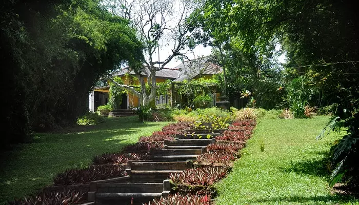 تصویری از یک باغ