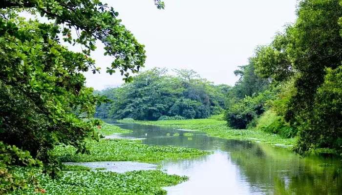 پناهگاه پرندگان آتیدیا