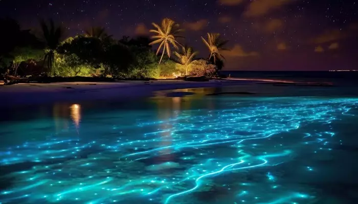 تصویری از یک ساحل درخشان