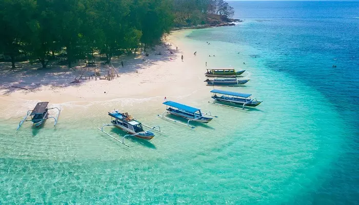 نمایی هوایی از بالی