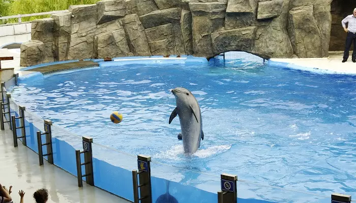 نمایی از دلفیناریوم باتومی