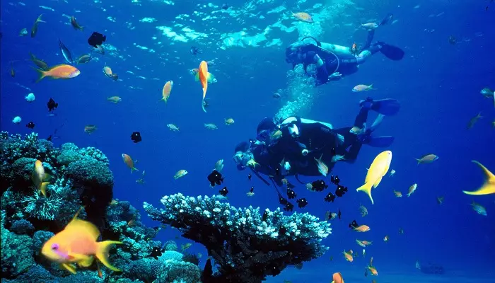 تصویری از غواصی در باتومی