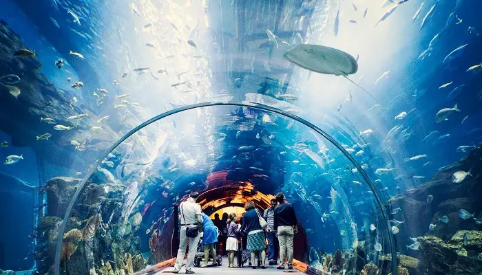 عکسی از مردم در حال تماشای آکواریوم دبی