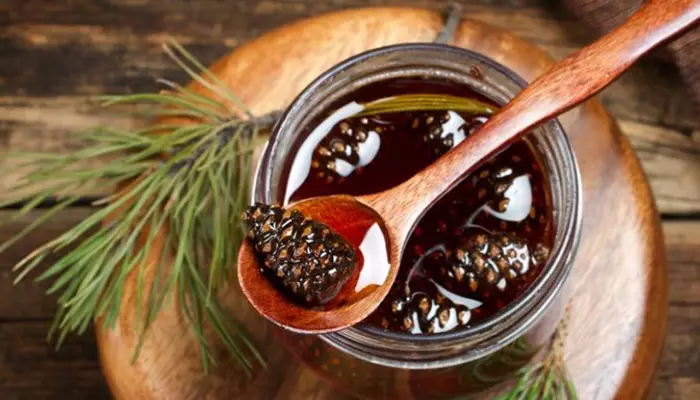 مربای کاج سوغات گرجستان