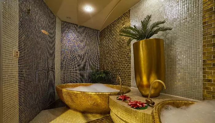 مرکز اسپا پارک آبی جینو پارادایس تفلیس