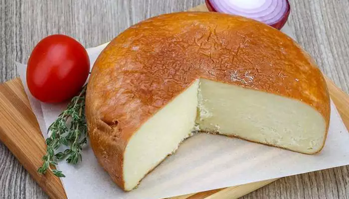 پنیر گرجی سوغات گرجستان