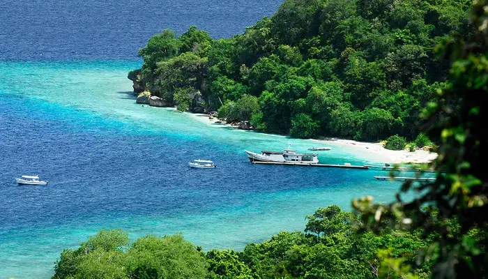 نمایی از جزیره مویو