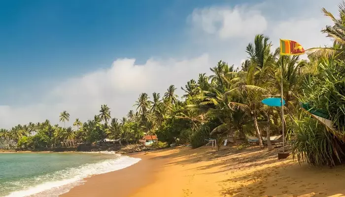 عکس ساحل نگومبو سریلانکا