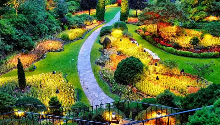 یک باغ پر از گل و درخت