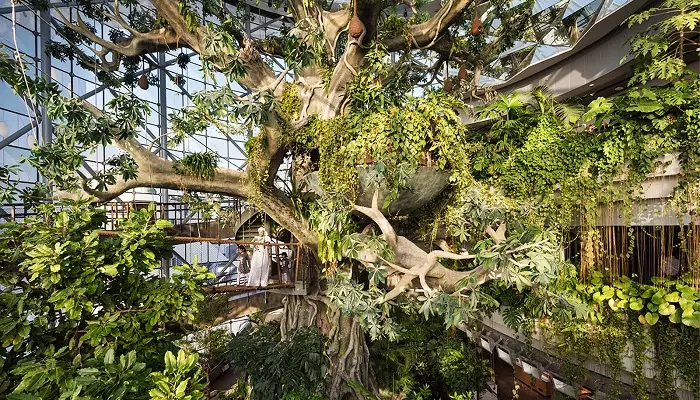 تصویری از یک باغ سرپوشیده پر از درخت در دبی