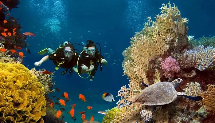 غواصی در بالی