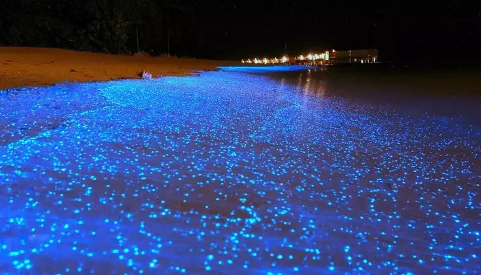 جزیره وادهو در مالدیو