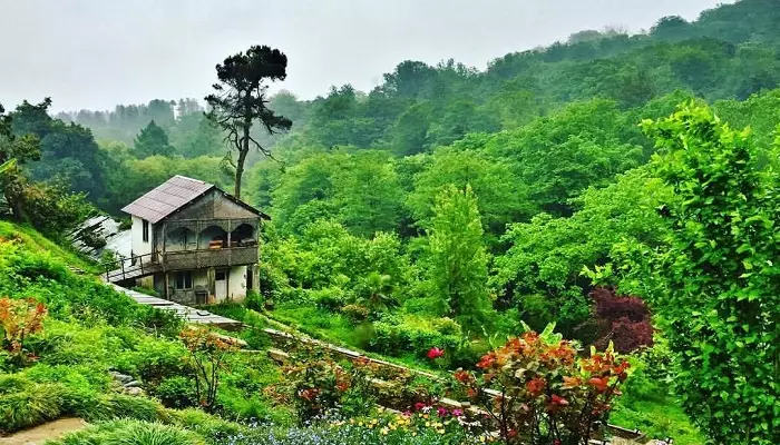 تصویری از باغ گیاه شناسی باتومی