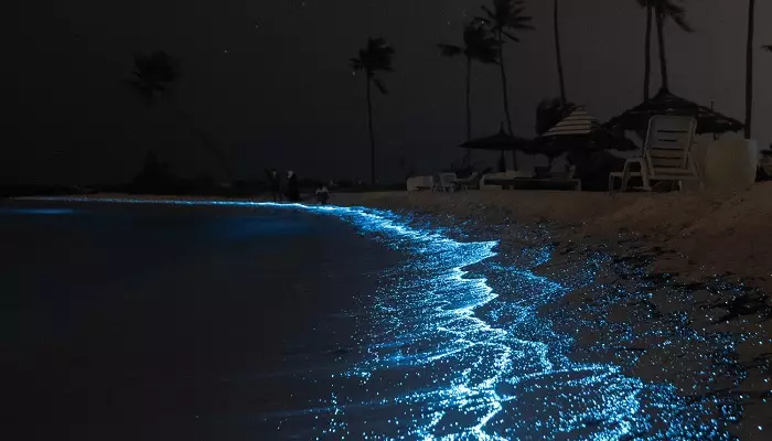 سواحل درخشان مالدیو