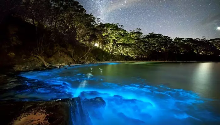 عکسی از بیولومینسانس در مالدیو