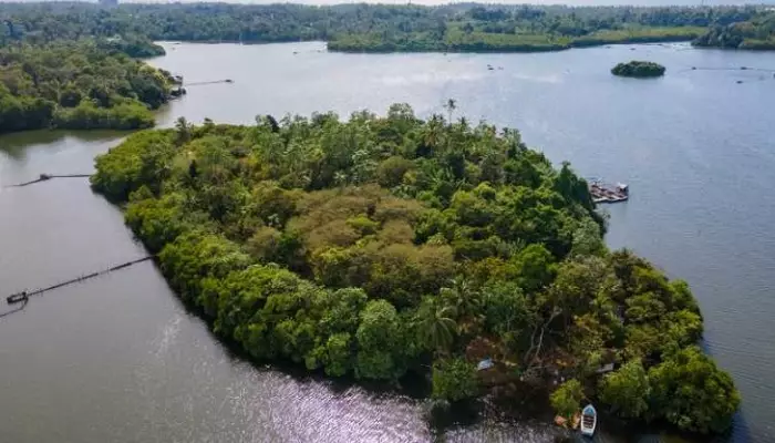 جزیره سینامون