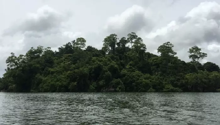 جزیره سینامون سریلانکا