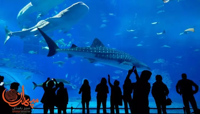 آکواریوم آنتالیا از تفریحات مجاور ساحل کنیالتی آنتالیا