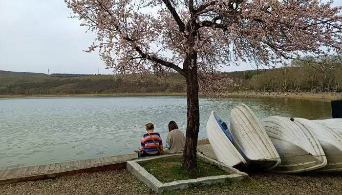 تصویری از دریاچه لیسی