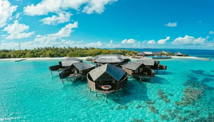 تصویری زیبا از ساحل لیلی