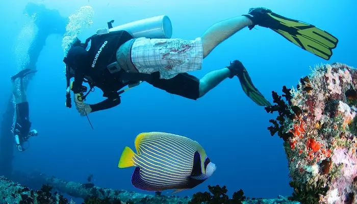 غواصی در جزیره مافوشی