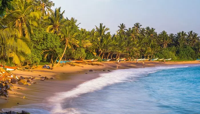 عکس ساحل میریسا سریلانکا