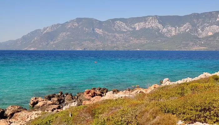 تصویری از جزیره سدیر