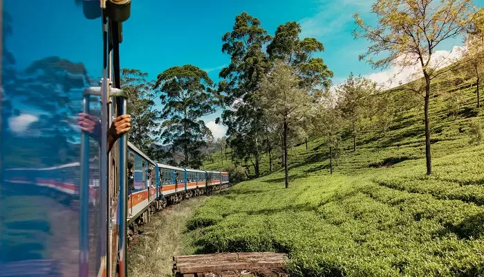 نمایی از قطار سریلانکا
