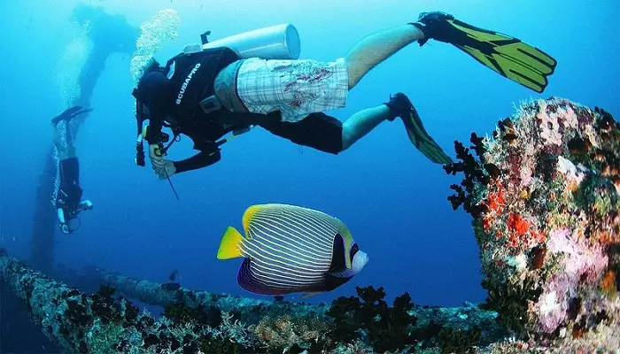 اسنورکلینگ در وادهو