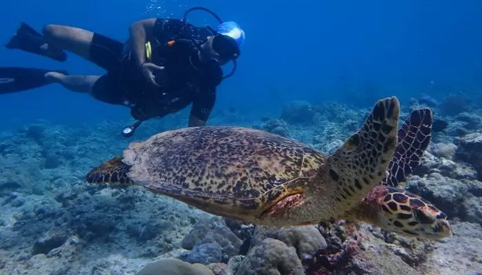 غواصی در وادهو مالدیو